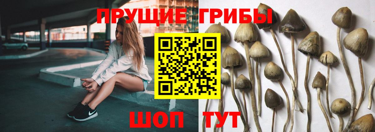 Галлюциногенные грибы MAGIC MUSHROOMS Луховицы