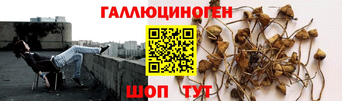 Псилоцибиновые грибы Magic Shrooms  Псилоцибиновые грибы мицелий  Луховицы  Вход с VPN 
